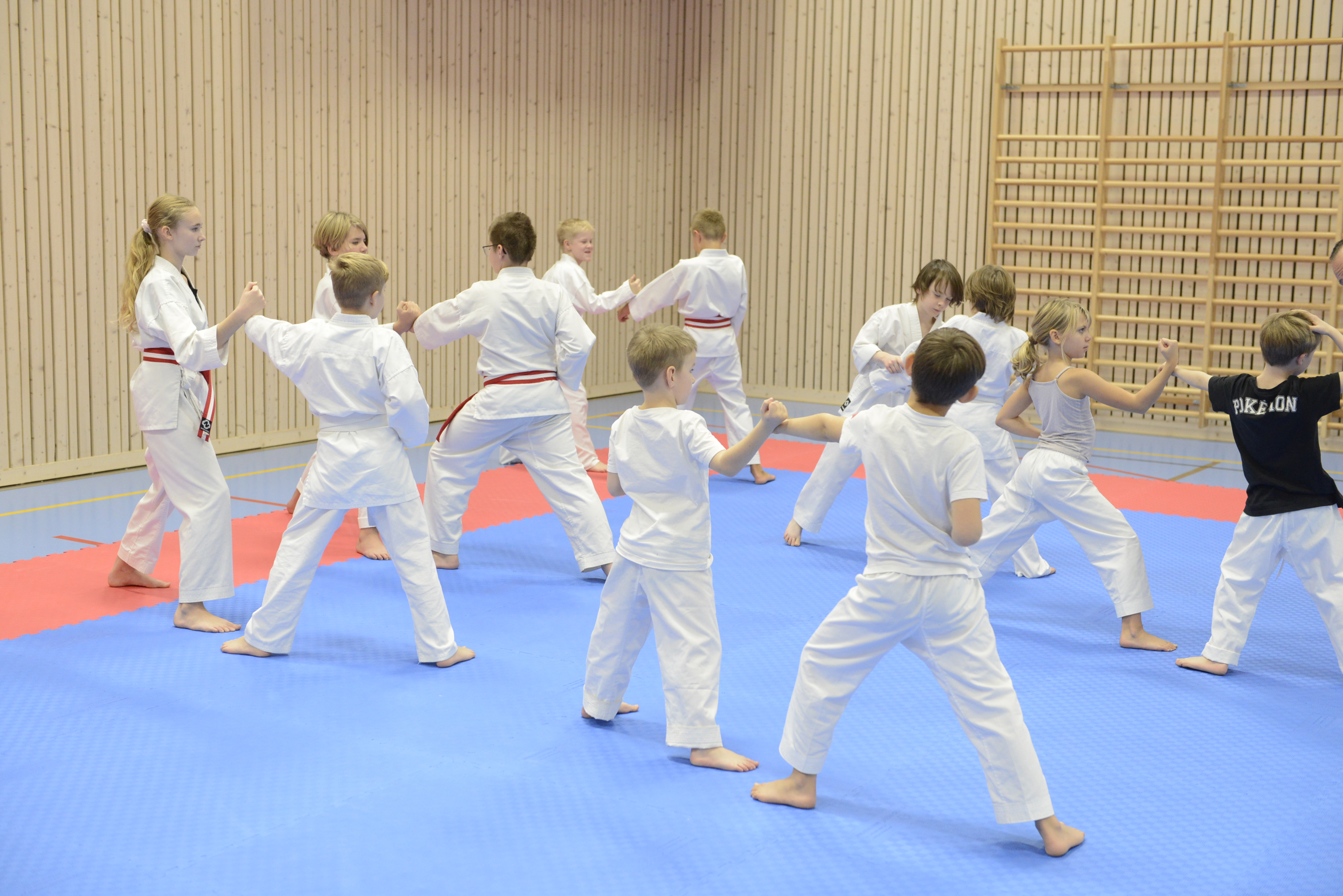 Karateträning hos Hammarö karateklubb